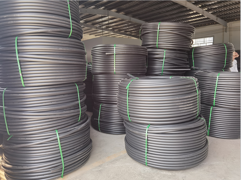 贵州投资策略,理财技巧,免费策略